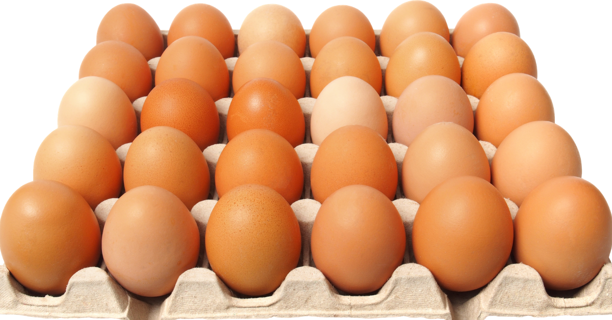 wasting food eggs