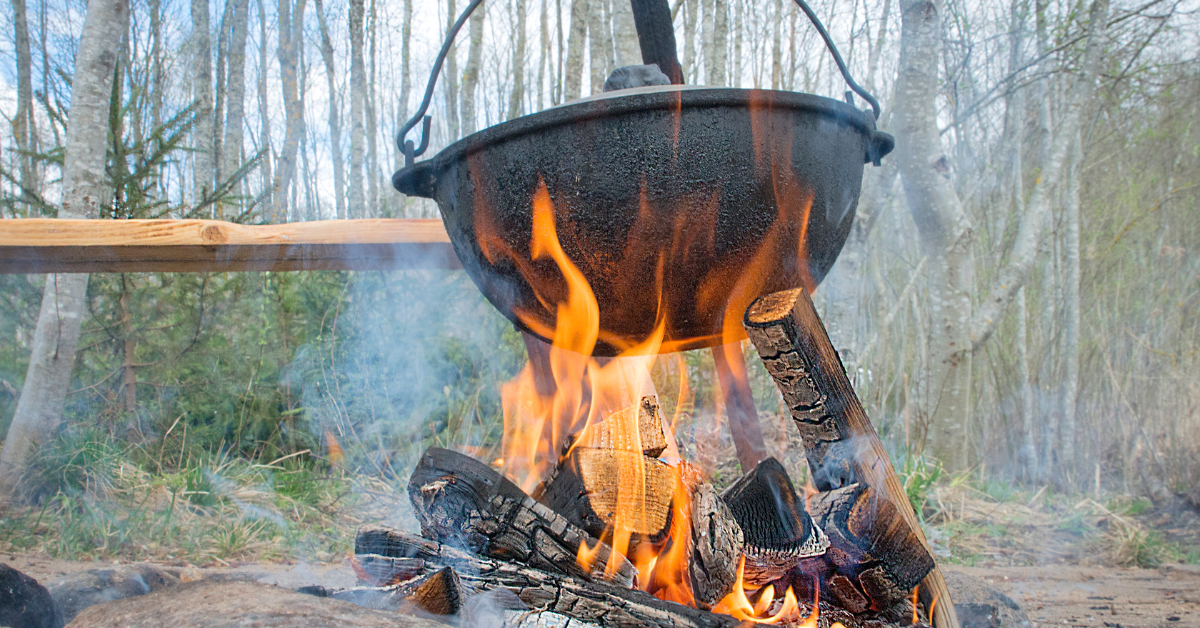 cooking food in the forest as basics for survival