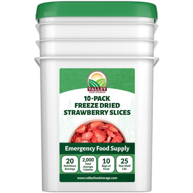 Freeze Dried Strawberry Slices &verbar; 10 Pack + Bucket