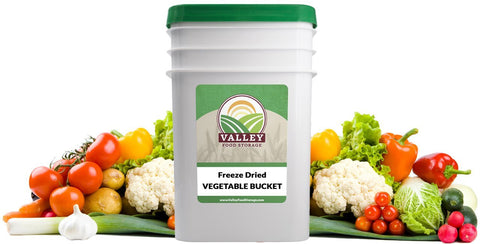 freeze dried fruits vegetables