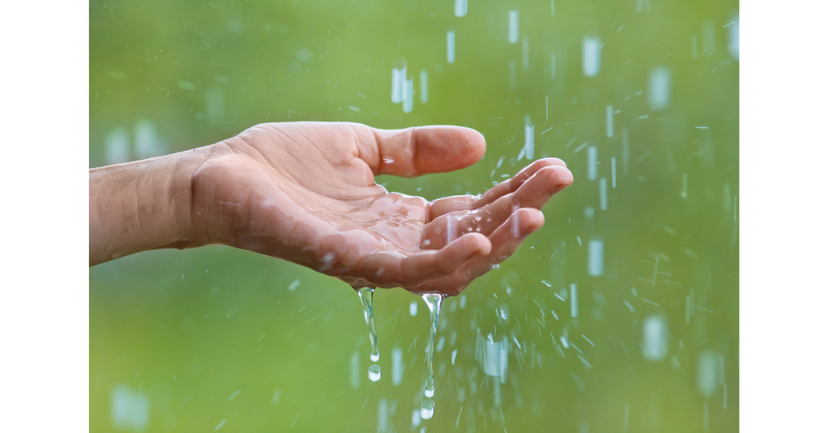 rainwater collection benefits