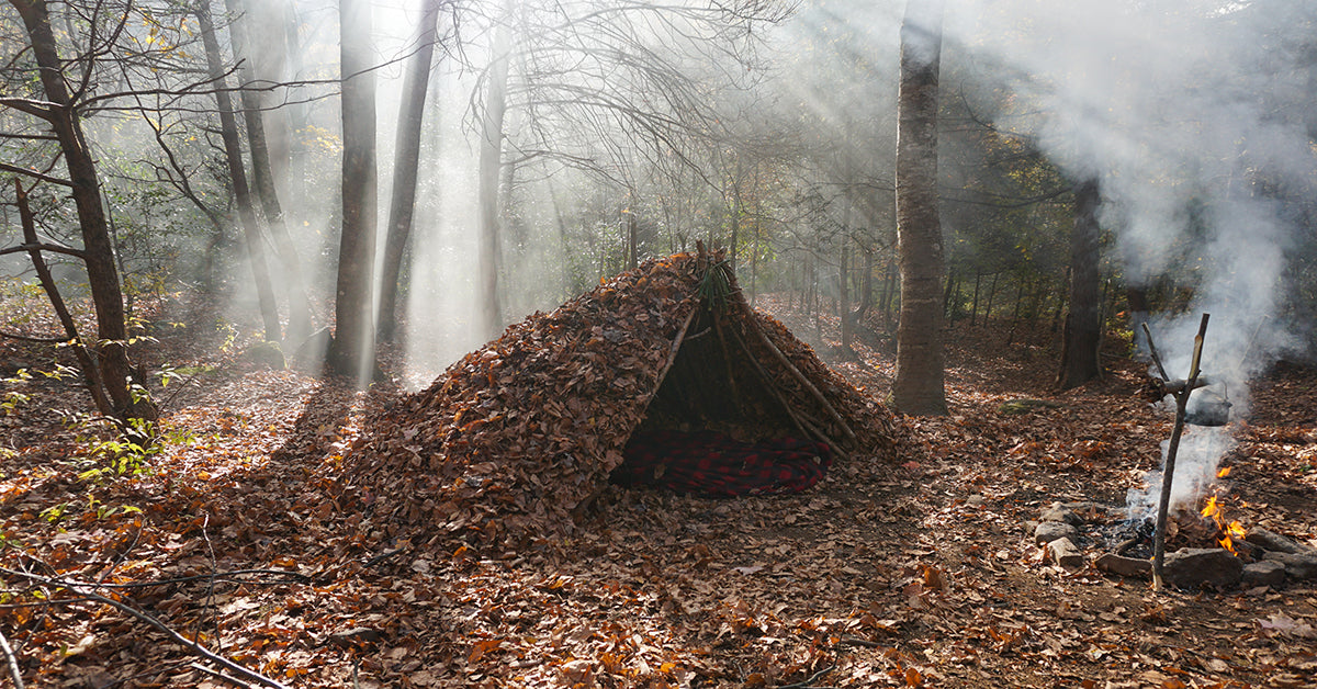 diy survival shelter