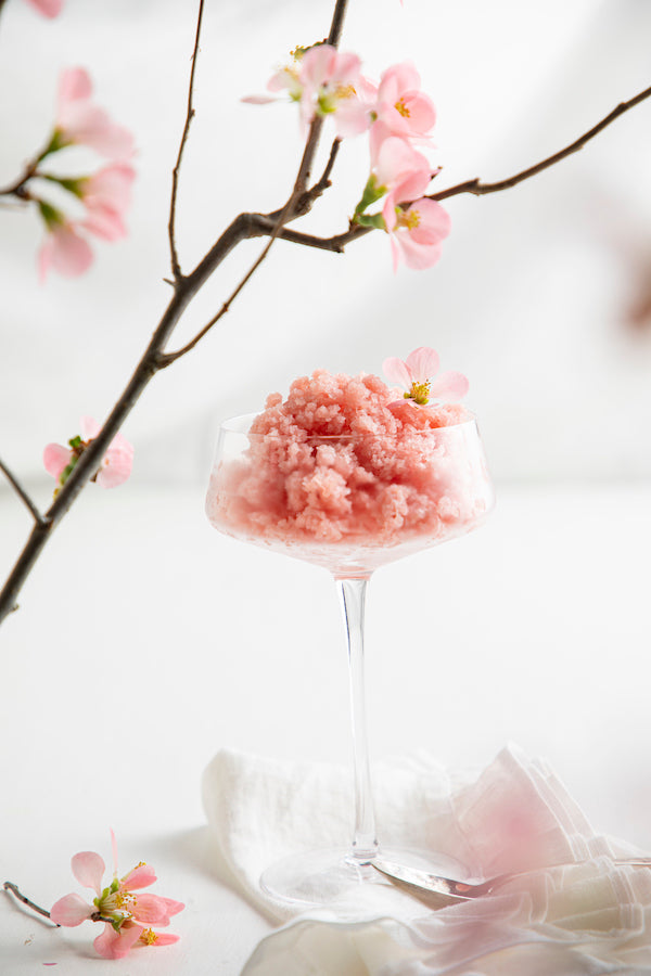 Ginger Rhubarb Granita, Recipe by Libbie Summers, Photography Chia Chong