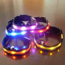 Load image into Gallery viewer, Vibrant LED Dog Collar