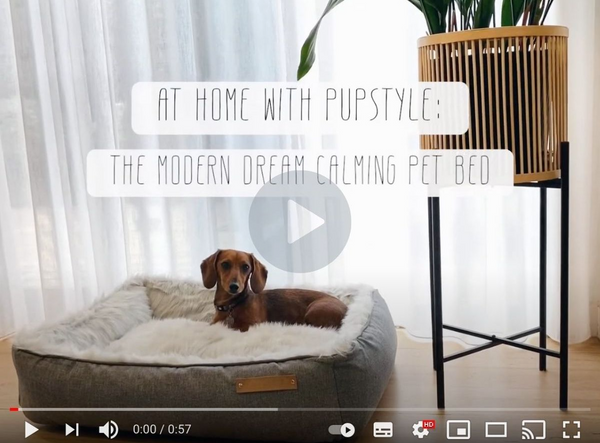 how-to-use-the-modern-dream-bed