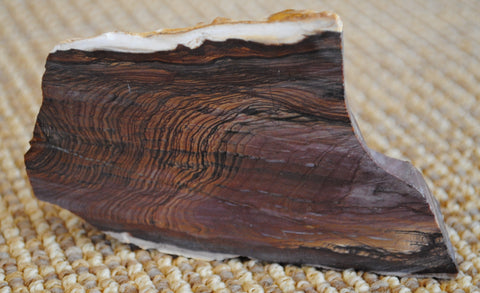 By Deidre Woollard - biggs jasper, CC BY 2.0, https://commons.wikimedia.org/w/index.php?curid=70365946