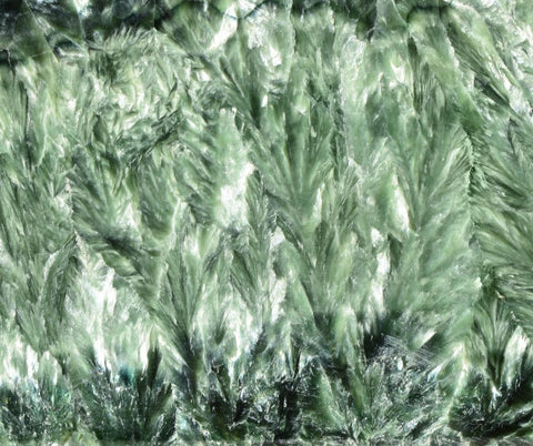 Seraphinite is among many of the dark green gemstones used in jewelry