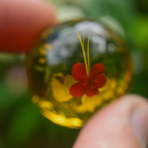 Dominican Amber with a flower inclusion
