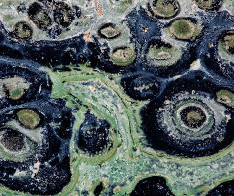 The intricate patterns of Kambaba Jasper