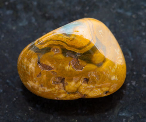 leopard skin jasper