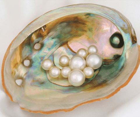 pearls in a shell