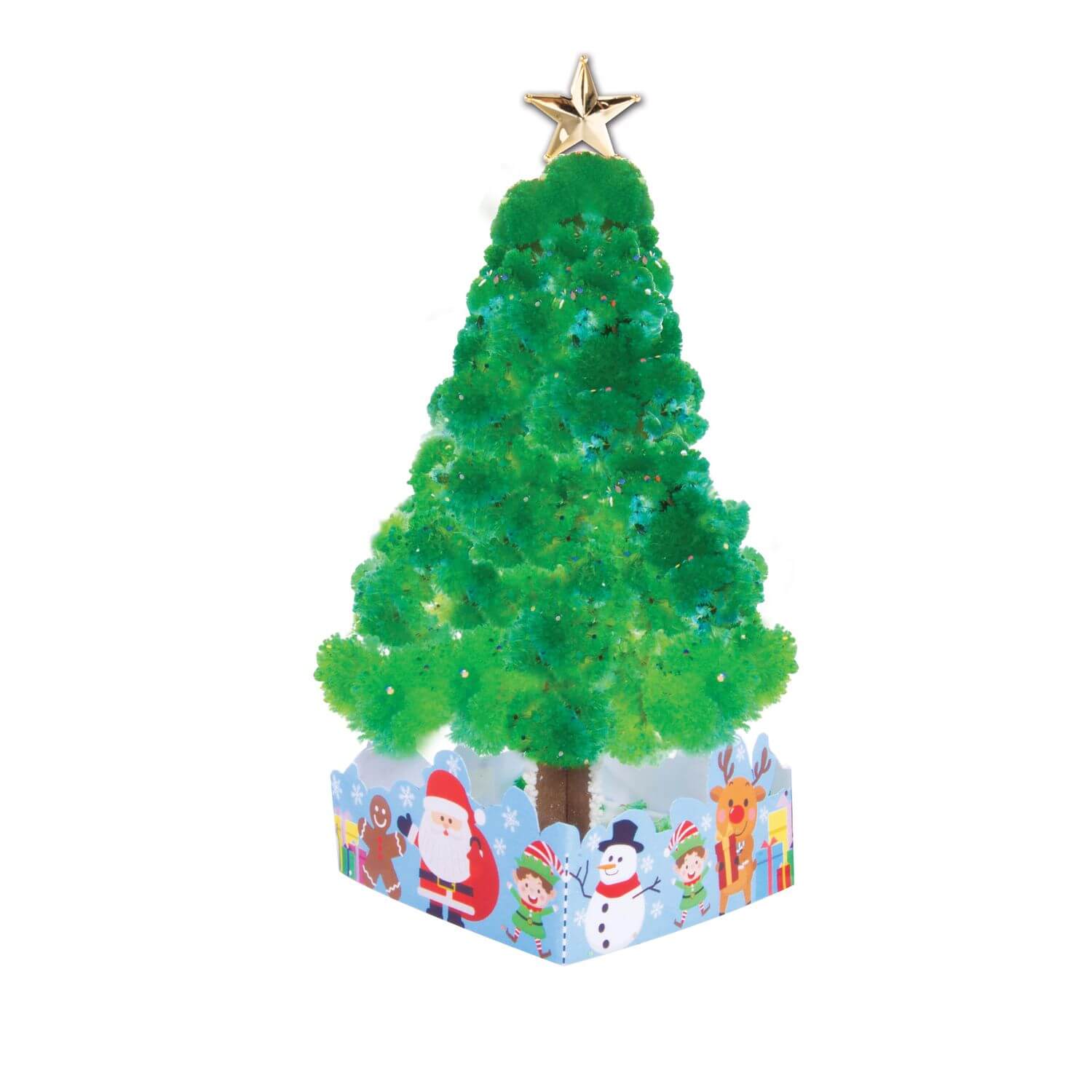 A green grow your own Christmas tree with a gold star