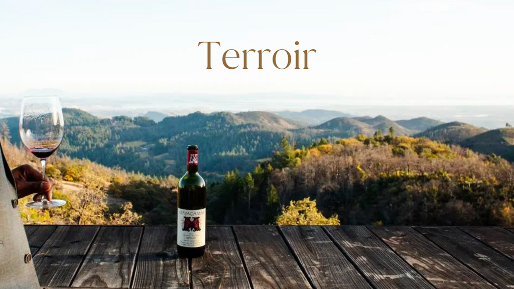 Mayacamas Terroir