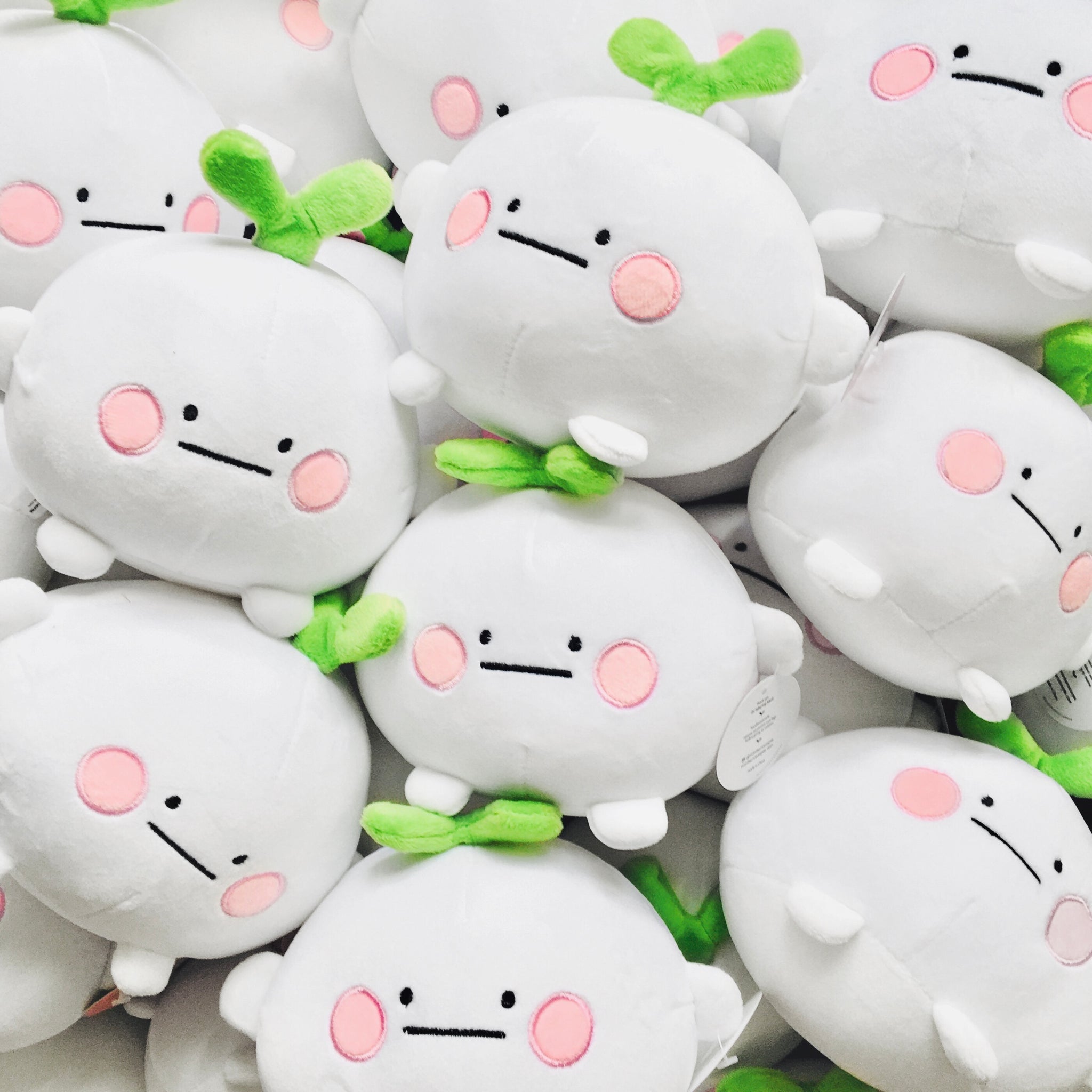 mochi plush