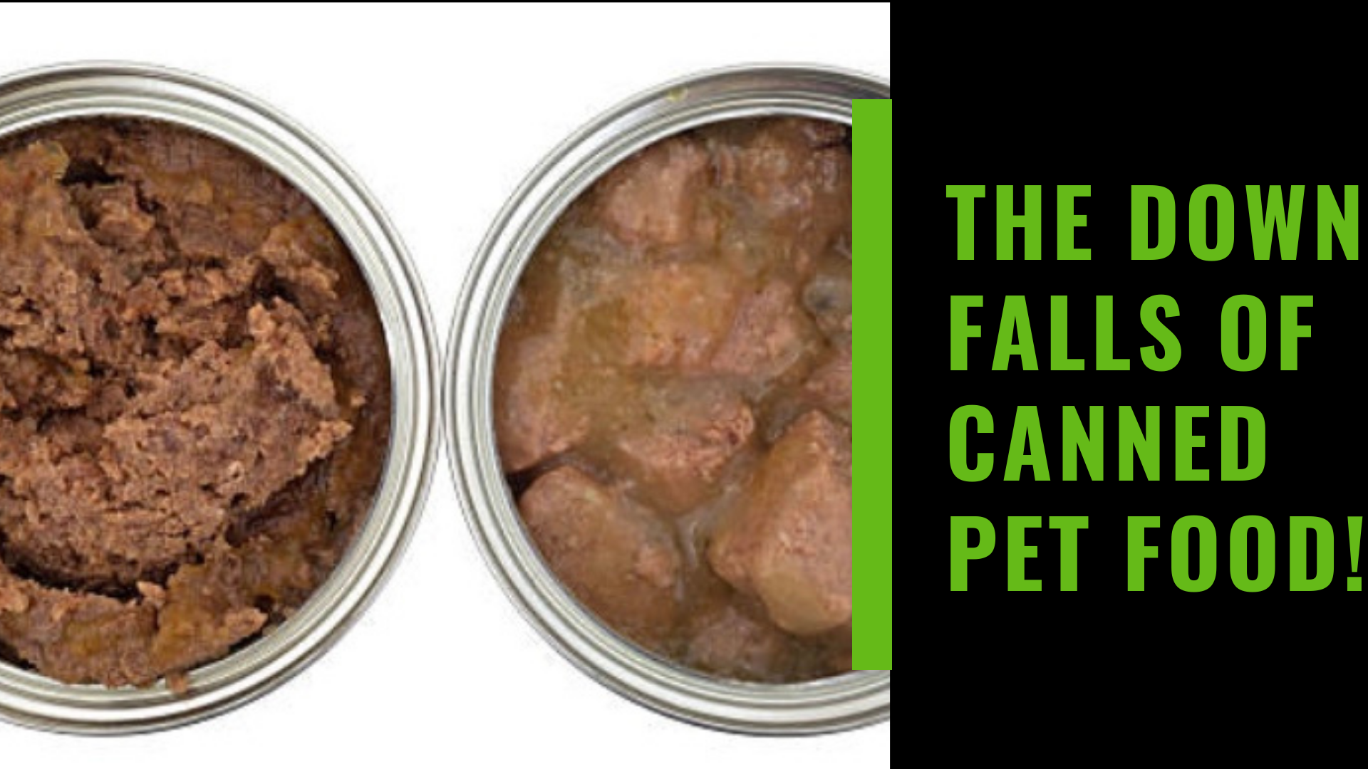 why canned pet food is bad