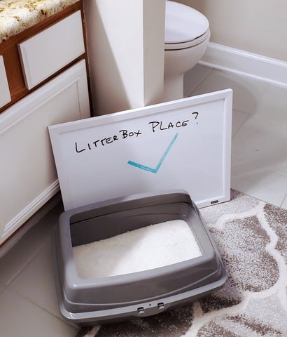 best places for litter box