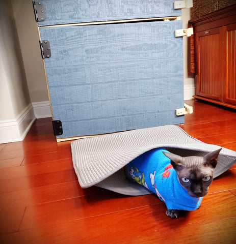 tapis-litière-pour-chat-anti-traçage