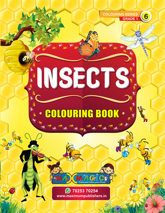 Insects Colouring Book With Description For Pre Kg Lkg Ukg