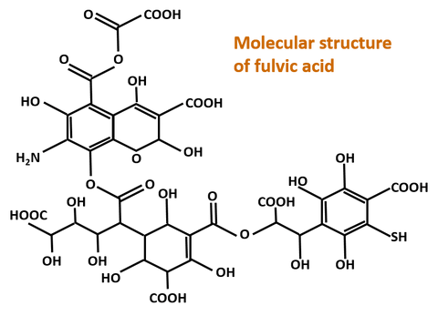 Fulvic Acid Molecule