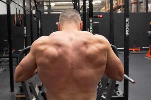 Top 5 Exercises for a Strong Upper Back