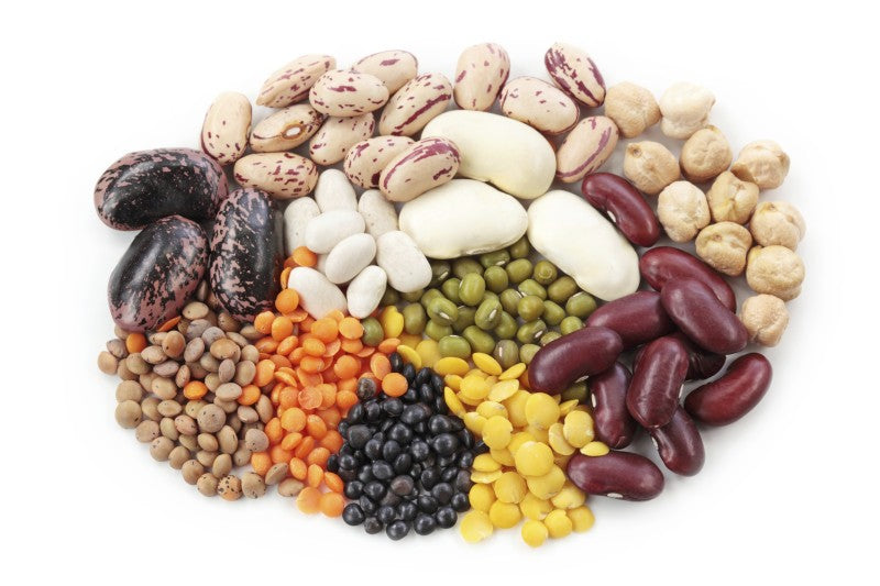 Legumes