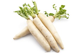 Daikon Radish