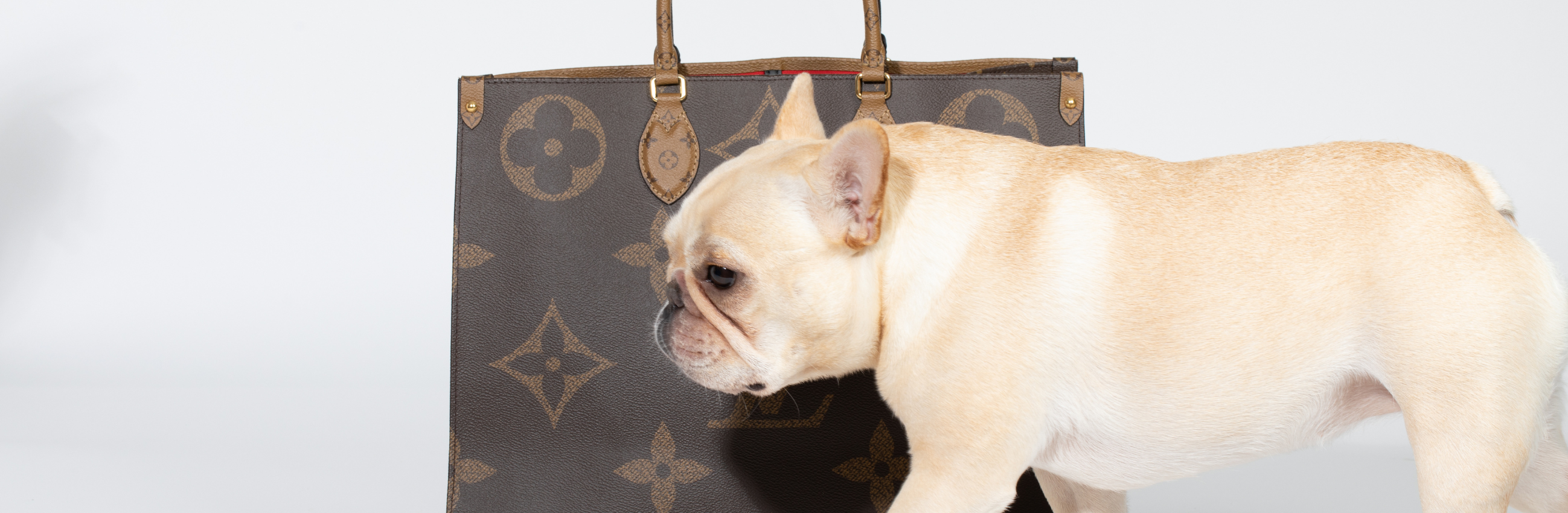 Top 7 Most Expensive Louis Vuitton Bags, myGemma