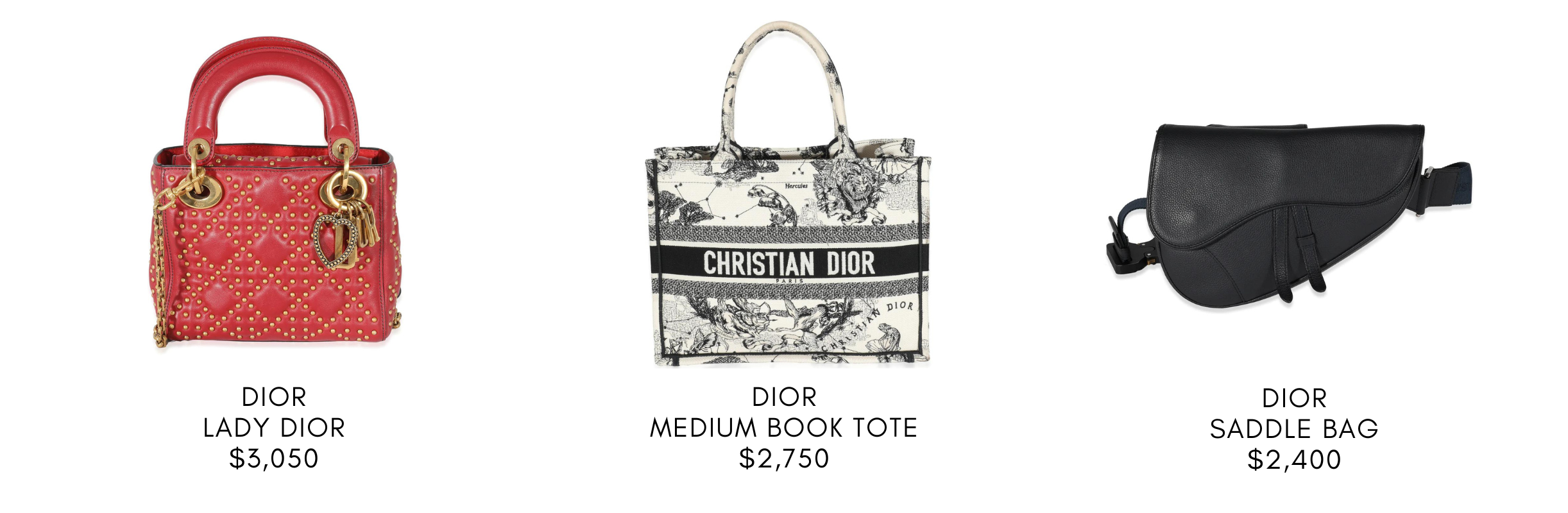 Best Dior Bags