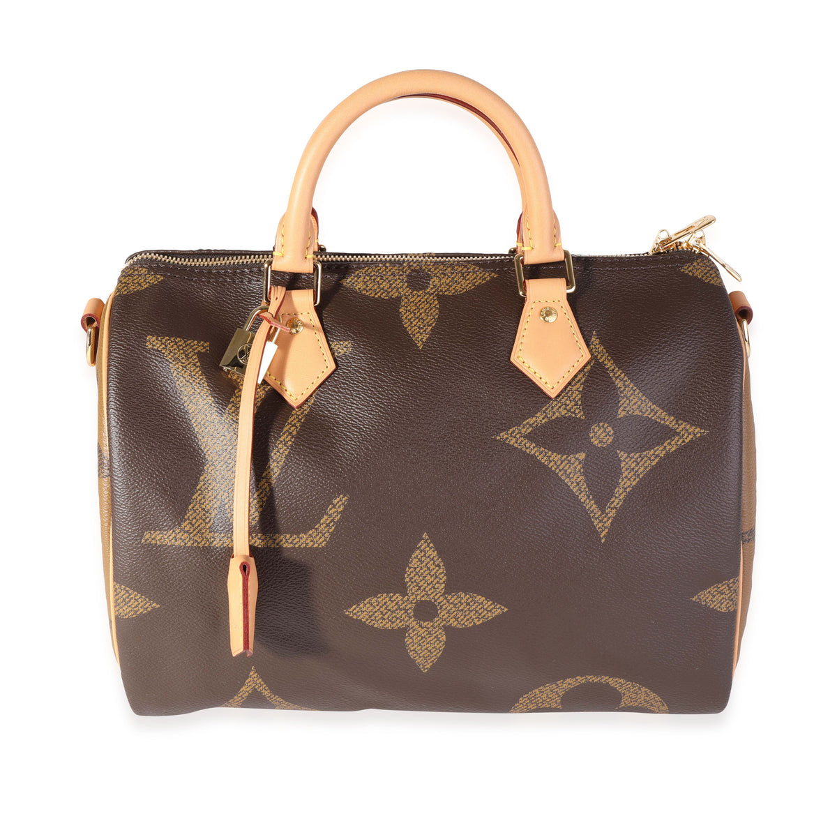 Louis Vuitton Classic Monogram Speedy 30 Bag – Recess