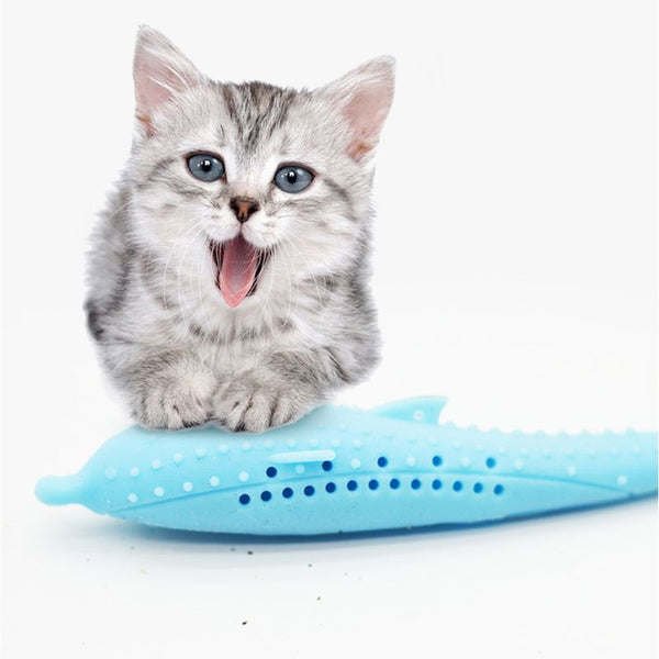 buy cat toothbrush