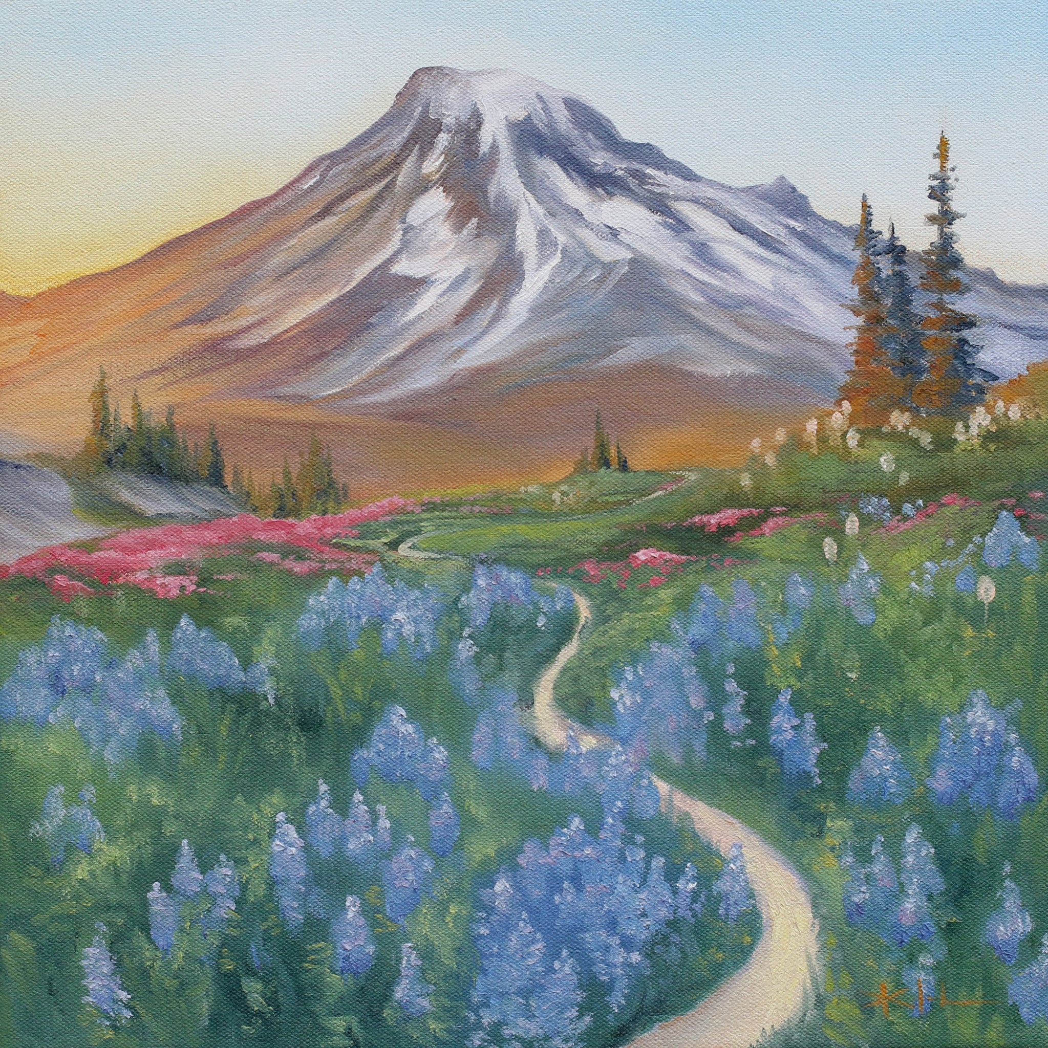 Lupin Fields Mt Rainier Painting Hiking Trail