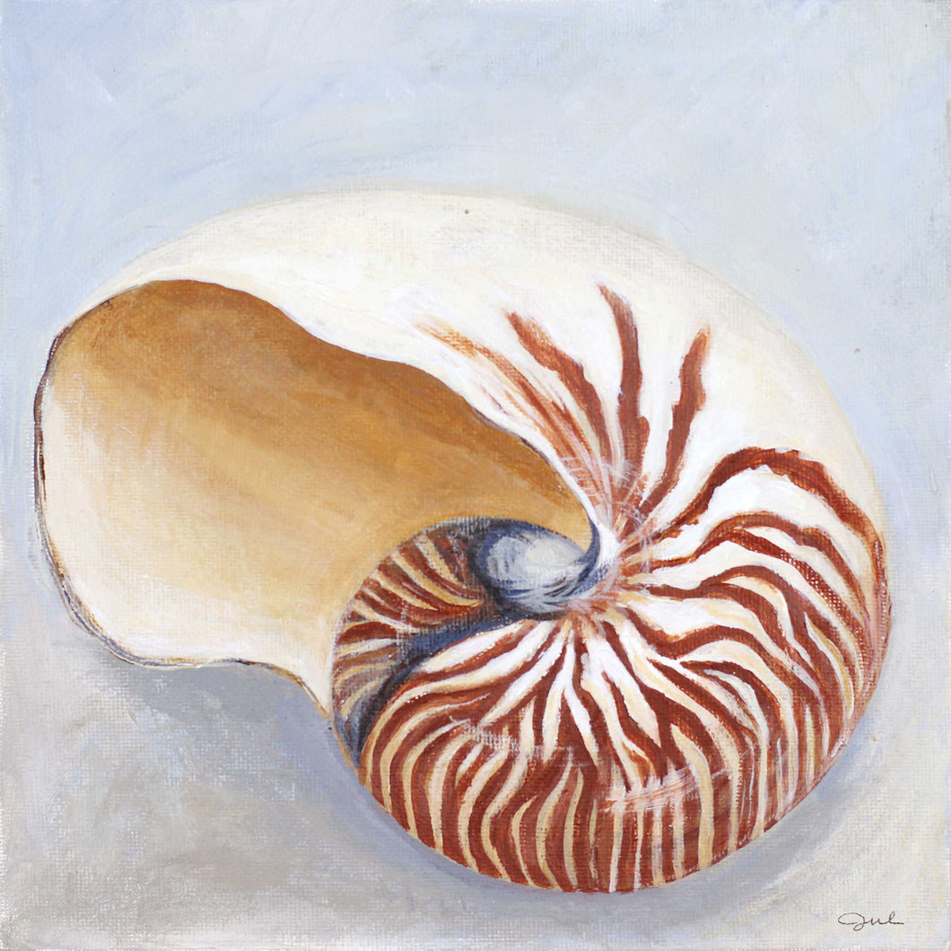 Nautilus Shell Art Painting By Julie Kluh Julie Kluh Art