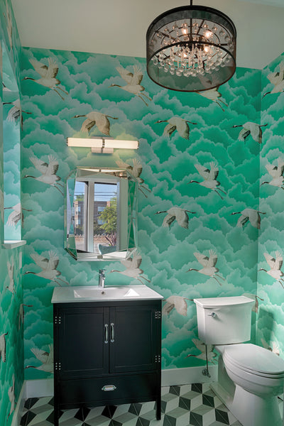 Contemporary Crystal Ceiling Light and Linear Vanity Light showcased in Salon's restroom.
