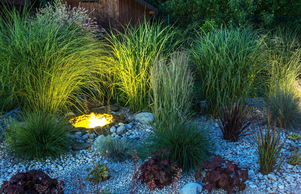 In-Ground Lighting Ideas