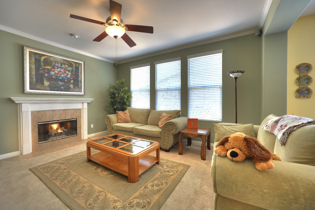 Living Room Ceiling Fan