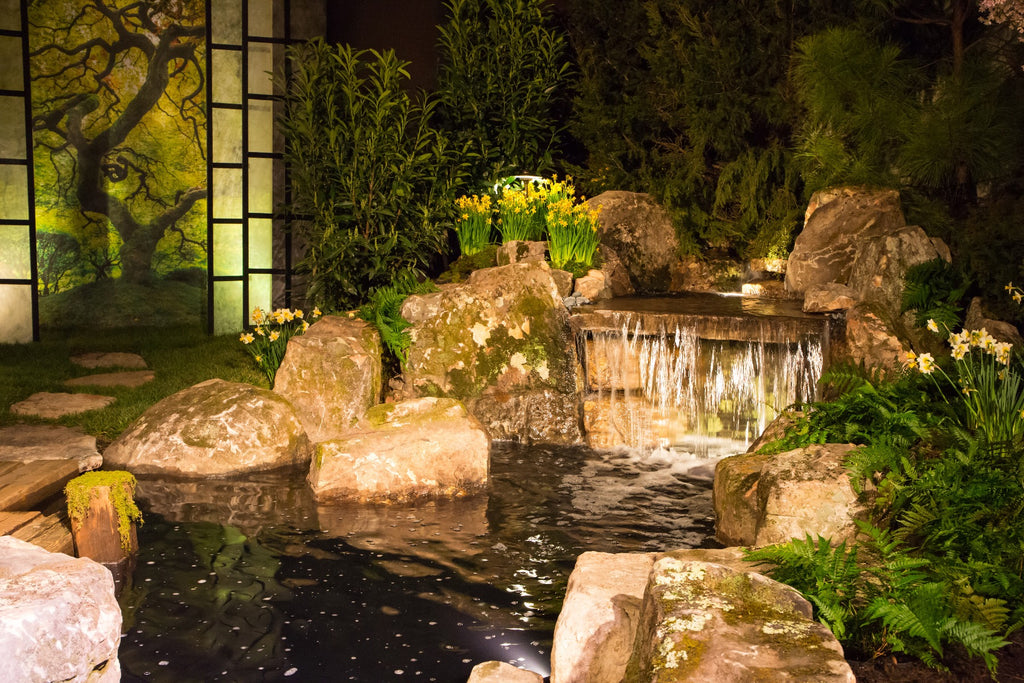 Water Features & Natural Beauty Lighting