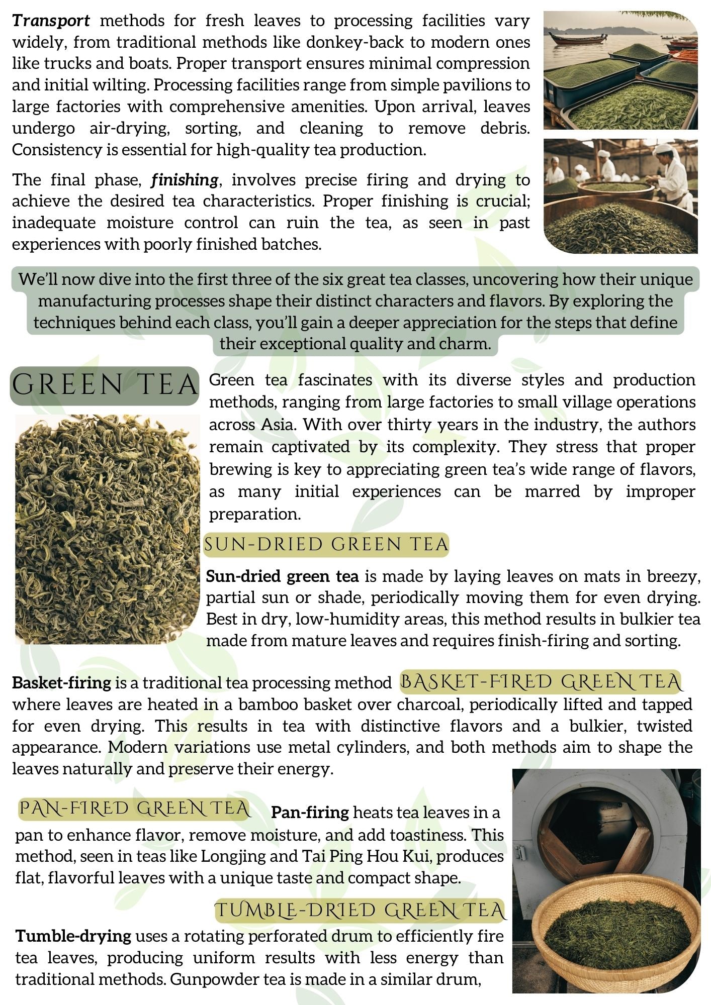 AUGUST_NEWSLETTER_pg_3_final_6a669b3c-df57-4cdf-97af-bbcf30dc1b3e
