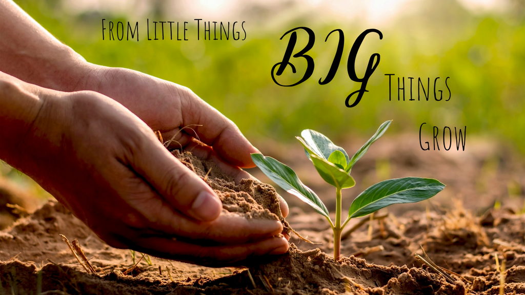 Island Goddess Organics- Plant Trees with Tree Nation- from little things- big things grow