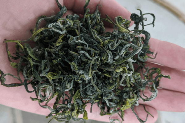 Green tea from Georgia