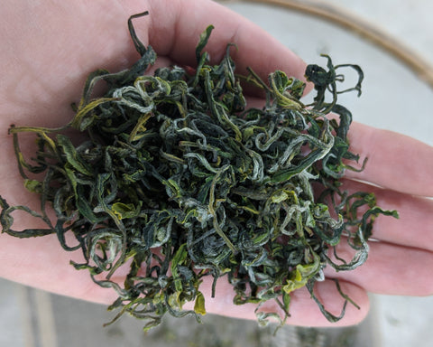green tea 