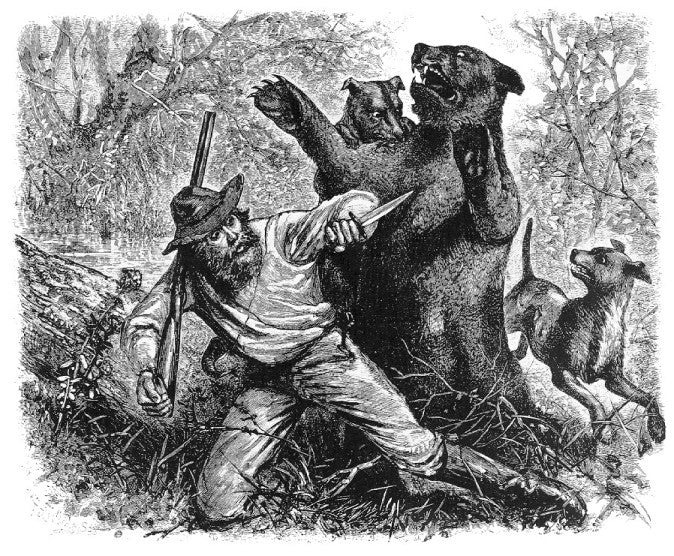 hugh glass attached by a bear illustration