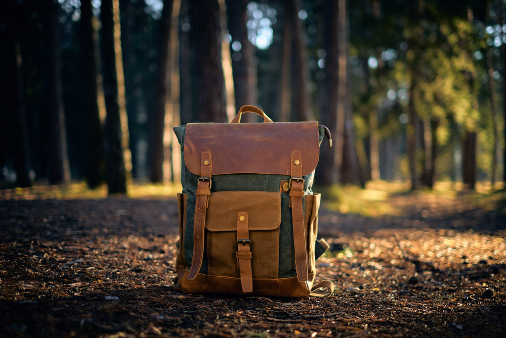 laptop rucksack backpack