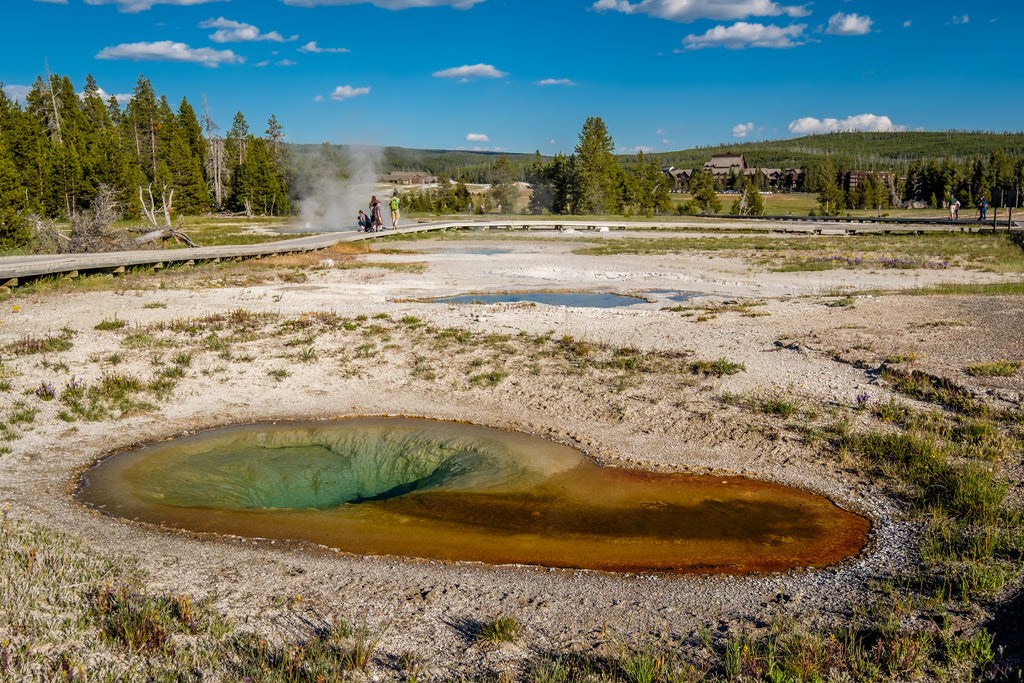 Promenade dans le parc national de Yellowstone