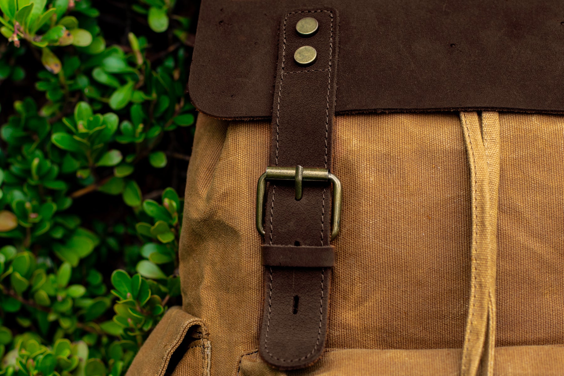 close up view of the gold tone brass buckle hardware of the leather and wax canvas daypack