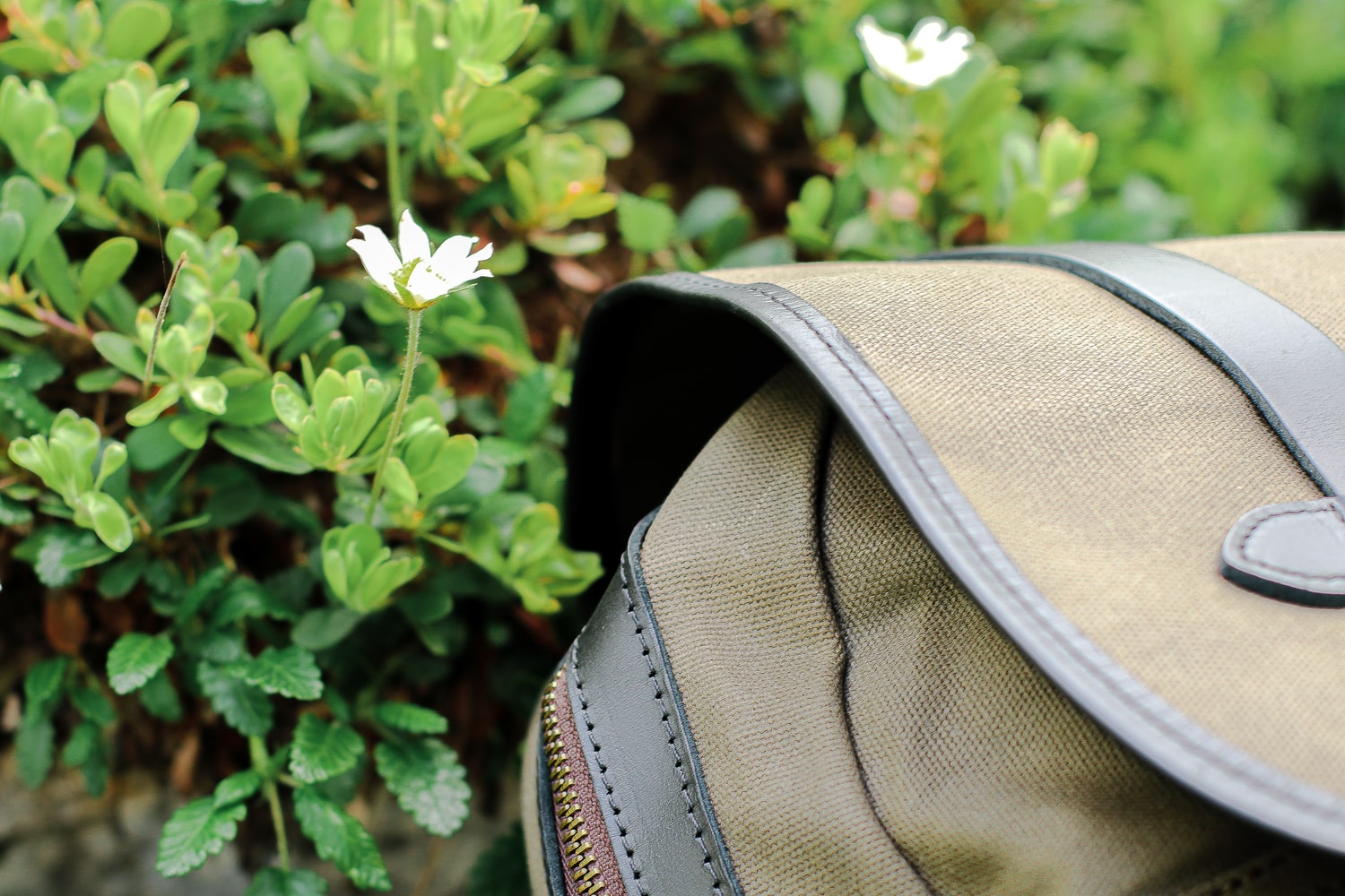 canvas hiking backpack