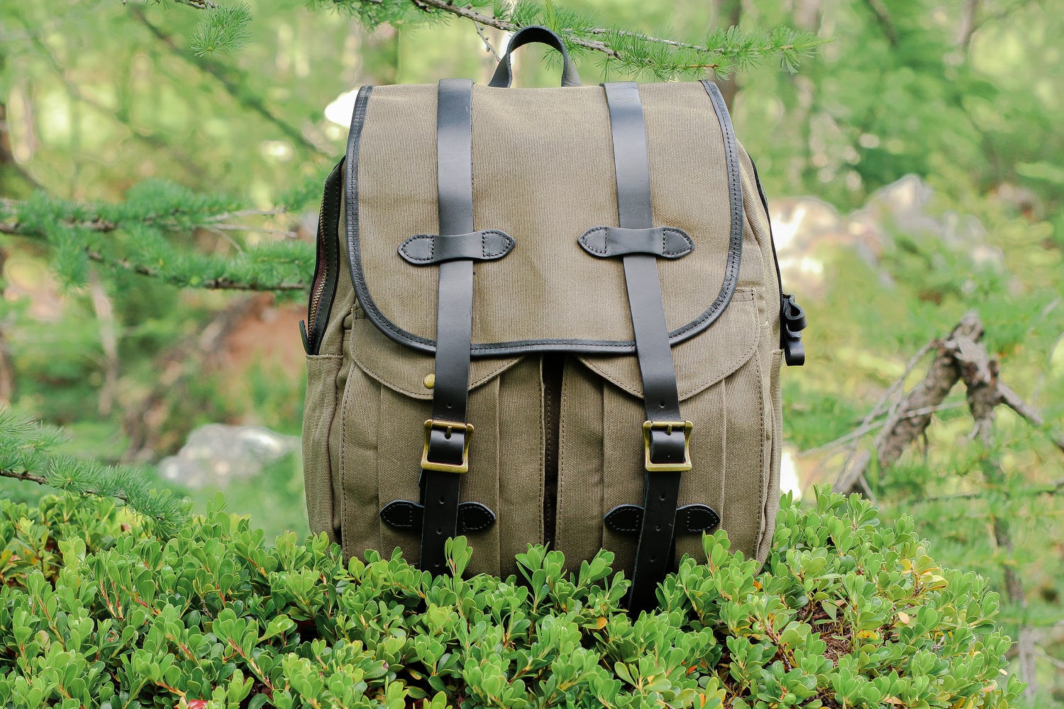 canvas travel backpack