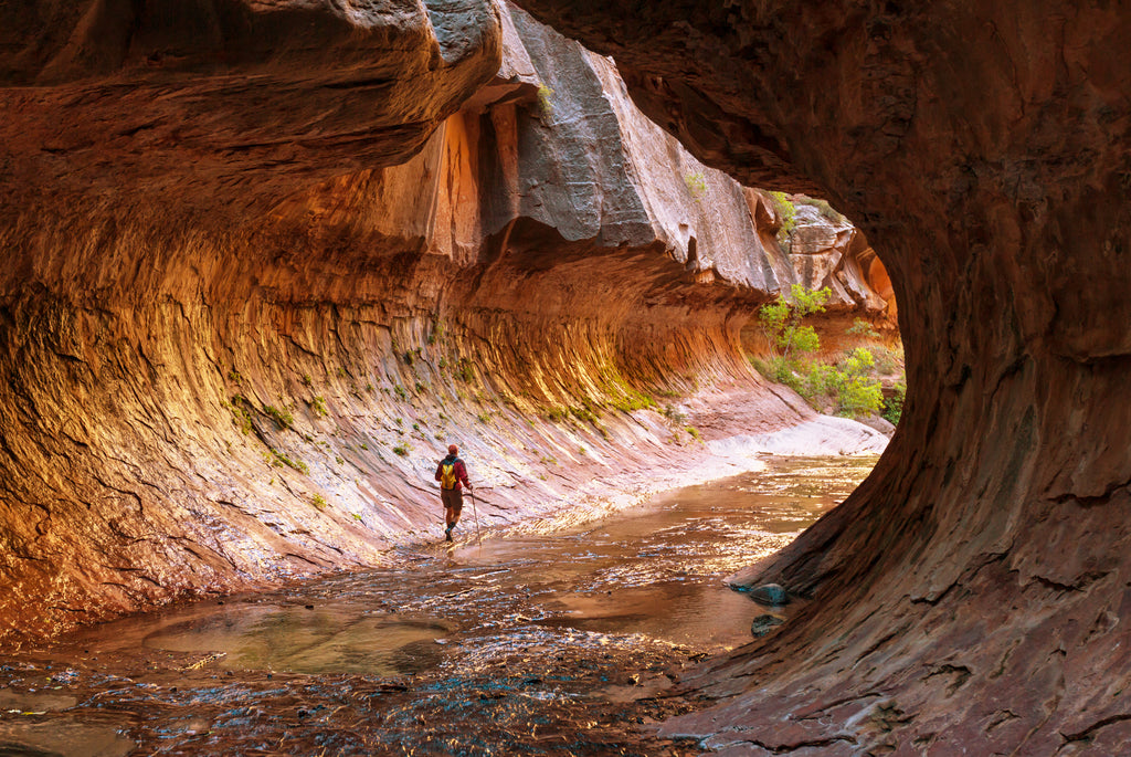 "The Narrows" in Zion Canyon