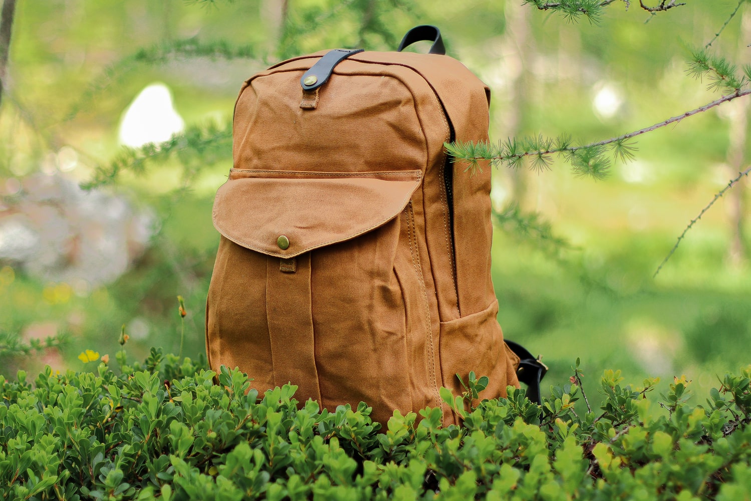 canvas bookbag