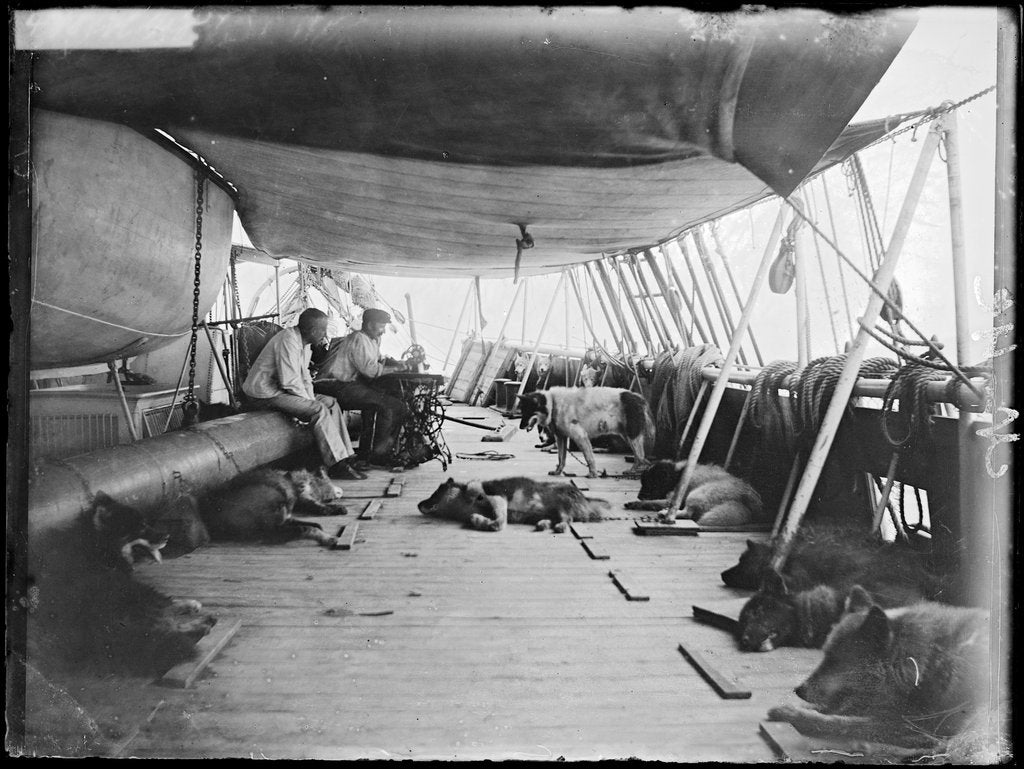 roald amundsen avec son chien sur le bateau près de l'Antarctique