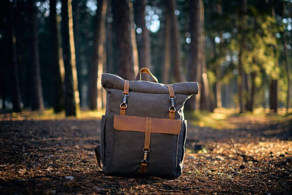 sac à dos de voyage rétro dans une forêt